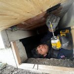 rodent IMG-20250307-WA0003