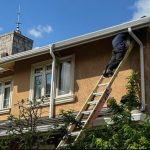 full job header webn site